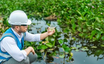 Study links falling phosphorus levels to ecological improvements in English rivers