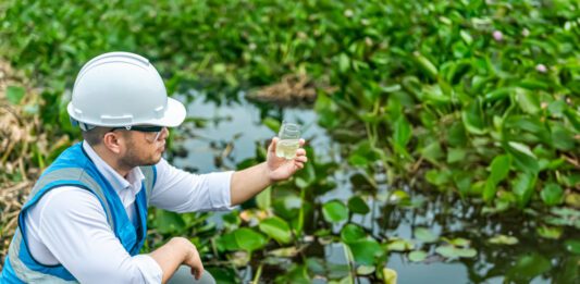 Study links falling phosphorus levels to ecological improvements in English rivers