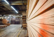 Smarter use of wood can help cool the planet, says new study