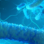 New York’s Legionella outbreak: A wake-up call UK cities shouldn’t ignore