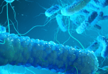 New York’s Legionella outbreak: A wake-up call UK cities shouldn’t ignore