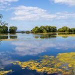 Lough Neagh sand mining likely harming lake’s ecosystem, warns research