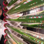 Engineered algae targets smaller microplastic fragments in wastewater