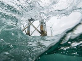 Policy window opens for rethink on offshore structures and marine ecosystems