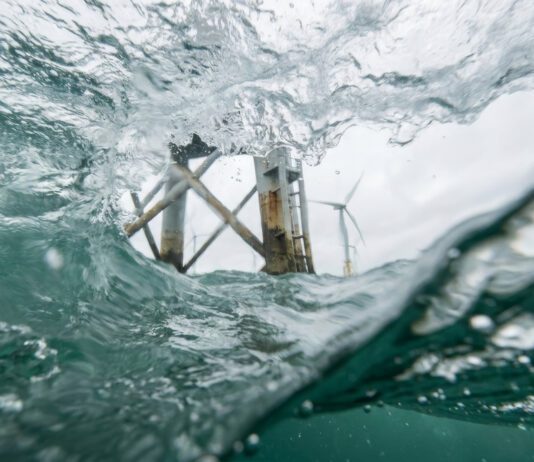 Policy window opens for rethink on offshore structures and marine ecosystems