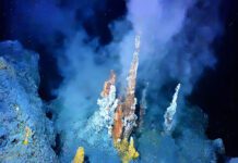 Meteorite which wiped out the dinosaurs also created record-breaking hydrothermal system