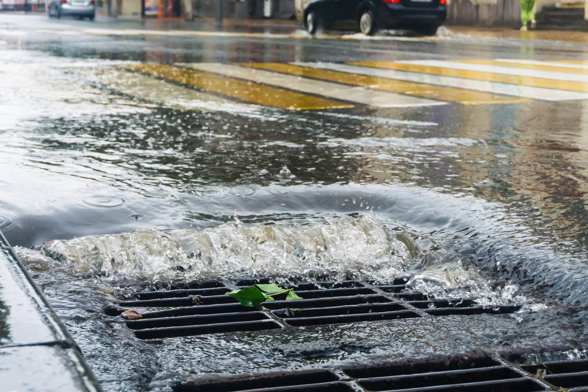 Rainwater rushing into a street drain during a heavy city downpour with blurred cars and crosswalk in the background