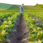 US group outlines less expensive way of removing PFAS from farmlands