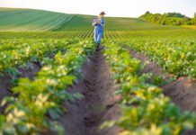 US group outlines less expensive way of removing PFAS from farmlands