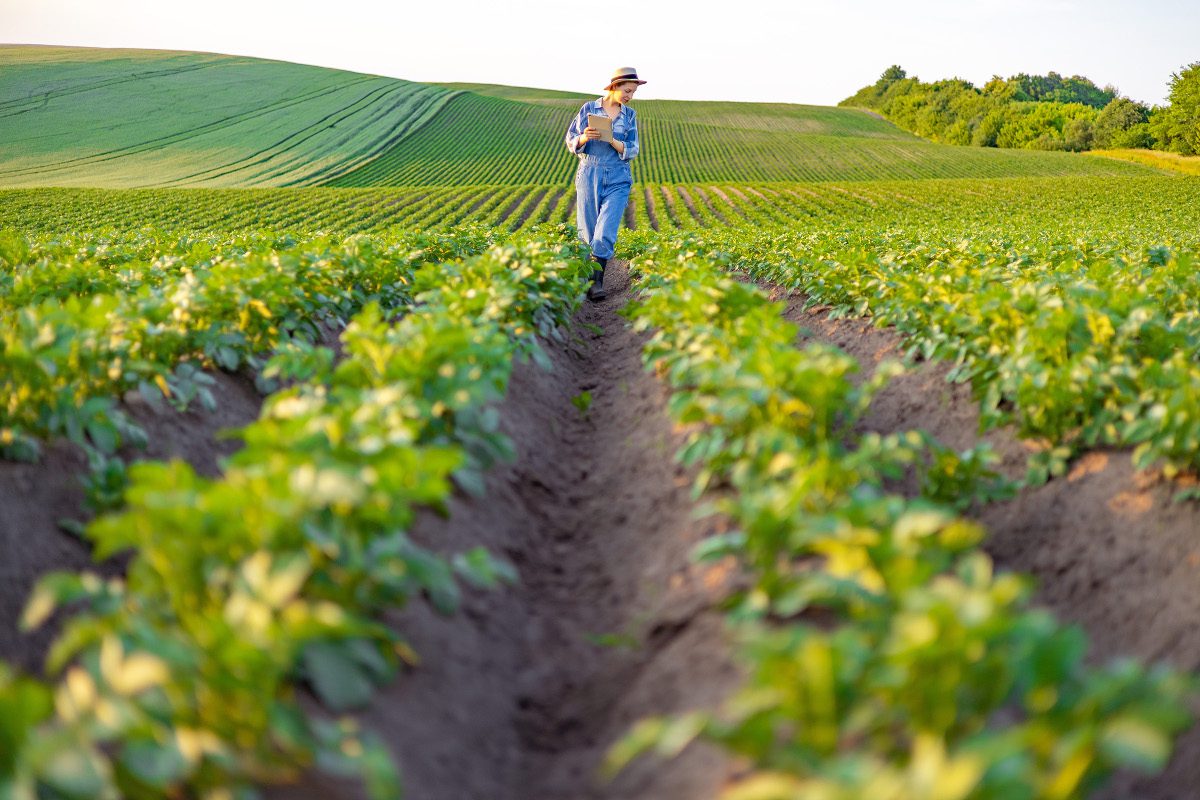 US group outlines less expensive way of removing PFAS from farmlands US group outlines less expensive way of removing PFAS from farmlands