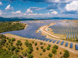 Solar becomes EU’s largest power source as June output hits record high