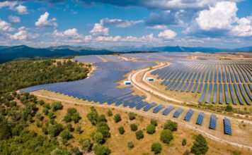 Solar becomes EU’s largest power source as June output hits record high