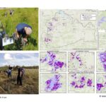 Mapping endangered habitats with the help of citizen scientists and satellite data