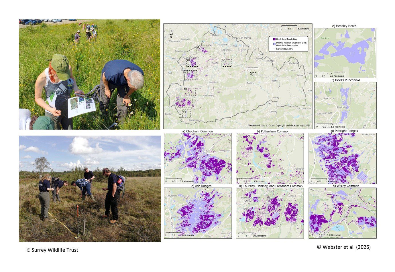 Mapping endangered habitats with the assistance of citizen scientists and satellite tv for pc knowledge Mapping endangered habitats with the assistance of citizen scientists and satellite tv for pc knowledge