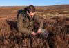 Grouse decline study expands into Scotland