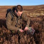 Grouse decline study expands into Scotland
