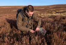 Grouse decline study expands into Scotland