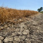 Parched UK confronts growing challenge of water resilience