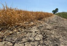 Parched UK confronts growing challenge of water resilience