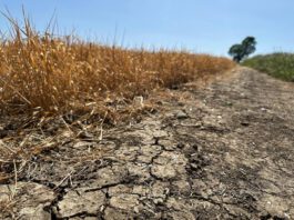 Parched UK confronts growing challenge of water resilience