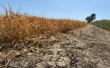 Parched UK confronts growing challenge of water resilience