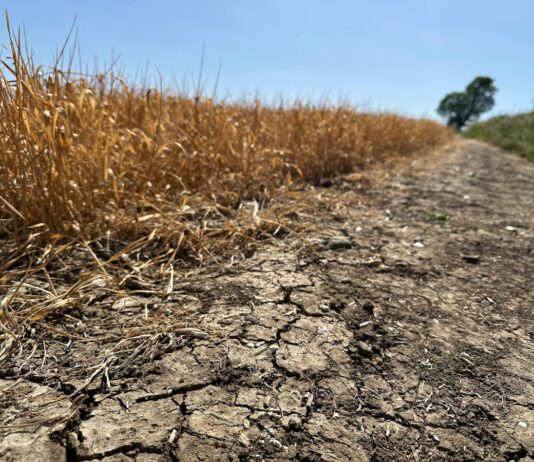 Parched UK confronts growing challenge of water resilience