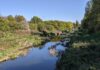 ‘First-of-its-kind’ citizen science study estimates 600 million litres of sewage-contaminated water enter Lower River Roding each year