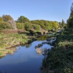 ‘First-of-its-kind’ citizen science study estimates 600 million litres of sewage-contaminated water enter Lower River Roding each year