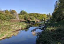 ‘First-of-its-kind’ citizen science study estimates 600 million litres of sewage-contaminated water enter Lower River Roding each year