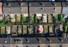 Research pinpoints air-quality evidence gap in domestic gardens