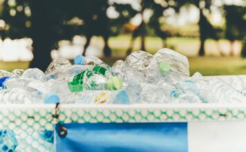 Imperfect sorting of plastic types undermines mechanical recycling, explains Manchester study