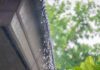 Smart rooftop rainwater systems could help cities tackle extreme heat