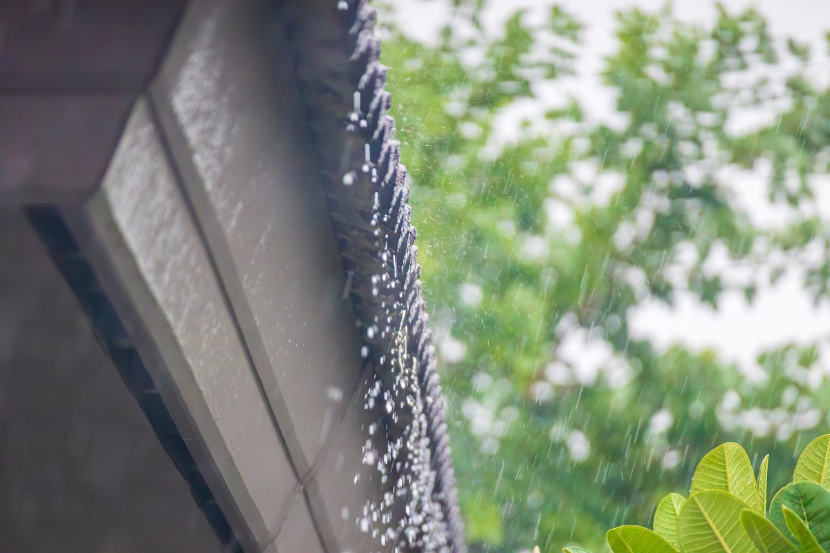 Smart rooftop rainwater systems could help cities tackle extreme heat Smart rooftop rainwater systems could help cities tackle extreme heat