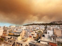 Heat and wildfires are eroding air-quality gains, says WMO
