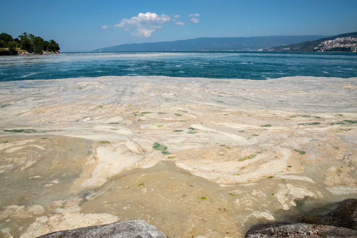€400m wastewater programme targets Sea of Marmara pollution €400m wastewater programme targets Sea of Marmara pollution
