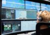 Substation-based drones to trial automated power-line inspections
