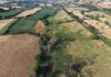 Report finds UK off track to halt and reverse nature loss by 2030, putting national security at risk