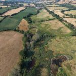 Report finds UK off track to halt and reverse nature loss by 2030, putting national security at risk