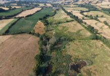 Report finds UK off track to halt and reverse nature loss by 2030, putting national security at risk