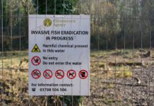 Tories plan to abolish Environment Agency and Natural England in deregulation drive