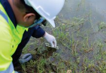 Global framework aims to standardise biodiversity measurement
