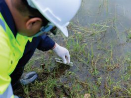Global framework aims to standardise biodiversity measurement