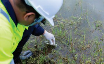 Global framework aims to standardise biodiversity measurement