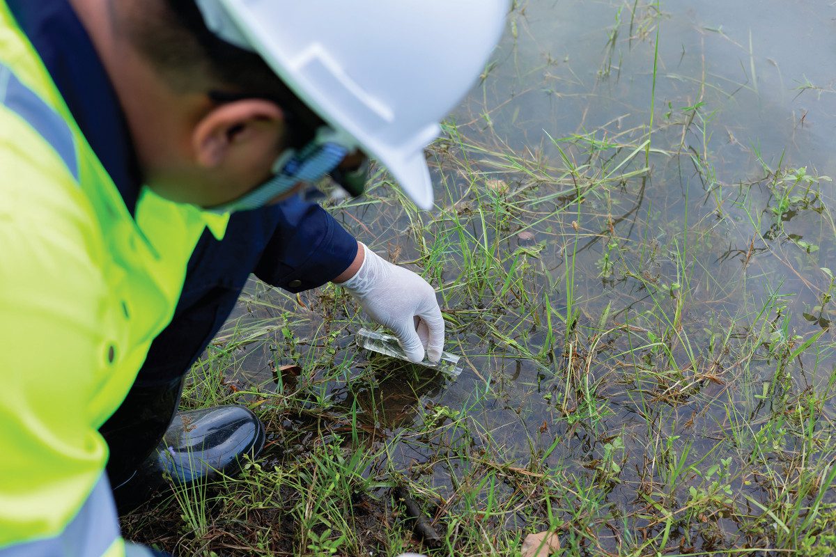 Environmental scientist collects a water sample