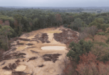 Massive illegal waste dump cleared from protected Kent woodland