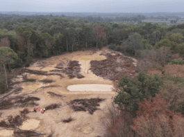 Massive illegal waste dump cleared from protected Kent woodland