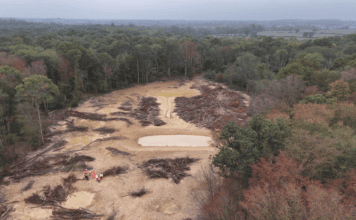Massive illegal waste dump cleared from protected Kent woodland