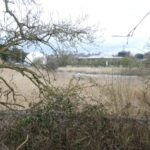 Squaring the circle: Bringing predictability to nature-based treatment