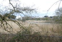 United Utilities explores ‘living’ wastewater treatment as monitorable infrastructure